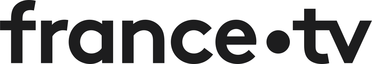 Logo couleur france tv