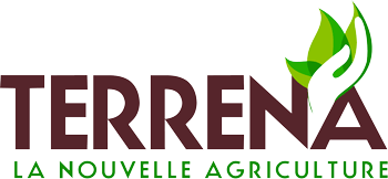 Terrena